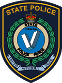 Voxel Police Department